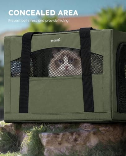 pecute Cat Carrier XL, Extra Large Stable Cat Carrier Handbag, Green — view 4