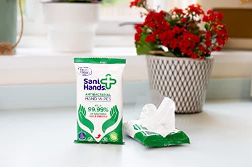 Sani Hands - Anti-bacterial Hand Wipes - Dermatologically Tested, Biodegradable Wet Wipes - 10x12 Wipes (120 Wipes) — view 6