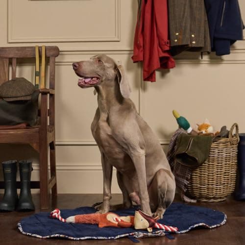 Rosewood x Joules Festival Floral Travel Mat for Dogs – Foldable Portable Pet Mat, Easy-Carry, Washable, Stylish Joules Print Dog Travel Bed for Car, Home and Holidays — view 5