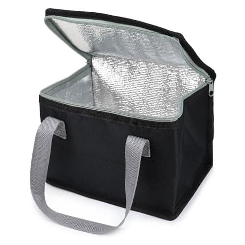 Fashion Stationery Insulated Lunch Bag, Polyester, Small Cooler
