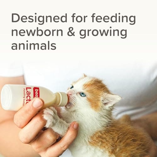 Beaphar - Lactol Feeding Set - Use with Animal Milk Replacer – Ideal To Feed & Hand-Rear Newborn, Orphaned & Weaning Kittens, Puppies & Small Animals - Contains 1 Bottle, 6 Teats & 1 Cleaning Brush — view 5