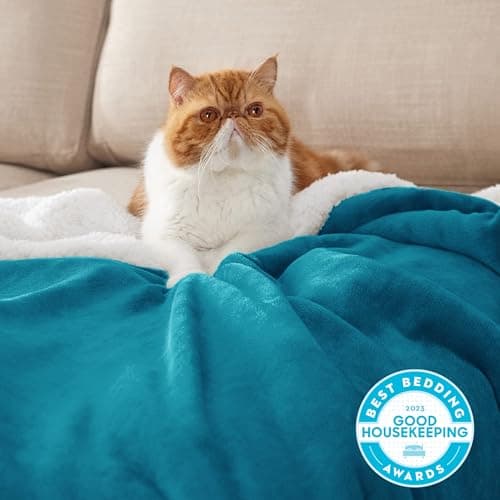 Bedsure Sherpa Fleece Throw Blanket - Thick, Turquoise, Twin, 150x200cm — view 2