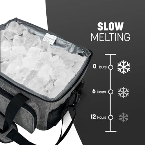 REQUISITE NEEDS Lunch Bag Insulated Picnic Bag 15L Large Cooler Bag Lunch Bag For Lunch/Work/School/Beach/Picnic (Grey) — view 5