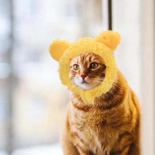 2pcs Plush Cat Costume Hat for Pets Adjustable Warm Cartoon Style — view 5