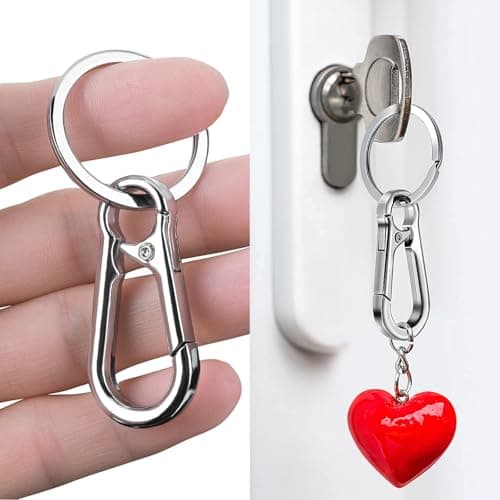 BOHUIZ 10 Packs Metal Keychain Carabiner Clip, Stainless Steel Heavy Duty Key Chain, Keyring Key Ring Chain Clips Hook Holder Key Organizer for Men Women,Silver — view 3