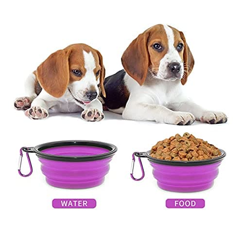 Collapsible Dog Bowl,Collapsible Dog Water Bowls for Cats Dogs, Portable Pet Feeding Watering Dish,Portable Dog Water Food Bowl with Carabiner (Small(350ML), Purple) — view 5