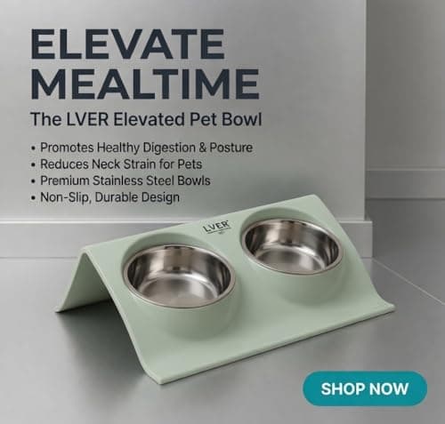 Raised Dog Bowl Set, 2 x 500ml Stainless Steel Bowl with Stand — view 5