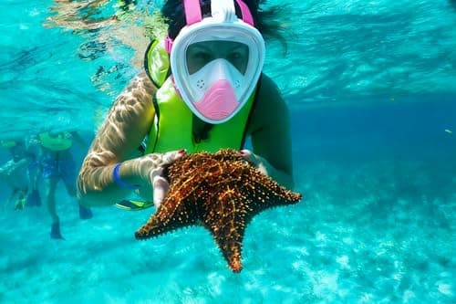 Full Face Snorkel Mask Adults,Snorkeling Gear for Men & Women with Detachable Camera Mount,180° Panoramic View Scuba Mask Diving Dry Top Snorkel Set Anti-Fog Easy Draining Travel Package(Pink S/M) — view 2