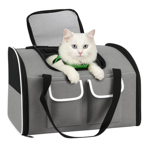 SUNNYNEST Cat Carrier, Airline-Approved Pet Travel Bag for Small Cats & Dogs up to 10 kg, Foldable Design with Lockable Zippers, Waterproof Base & Plush Cushion, 49×30×33 cm