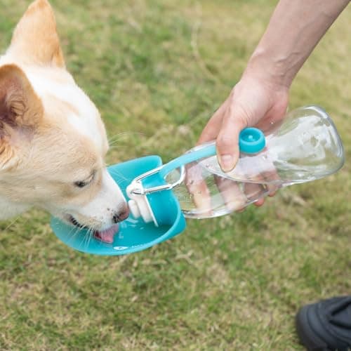 LumoLeaf Dog Water Bottle for Walking, Portable Pet Water Dispenser with Foldable Leaf Bowl – Lightweight Travel Bottle for Small & Medium Dogs, 590 ml — view 2