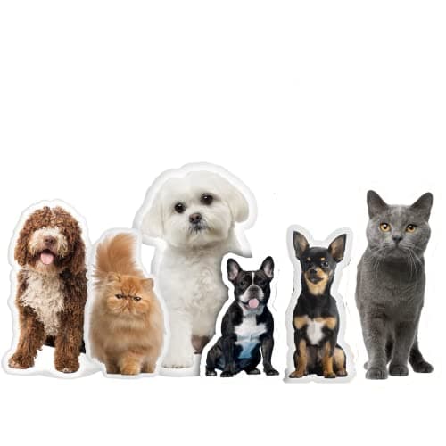 Eletizy Custom Pet Shaped Pillows, Personalized Funny Pillow with Pet/Picture/People, Double Side 3D Printing Photo, for Birthday, Thanksgiving, Christmas, Valentine's Day, Halloween 10inch