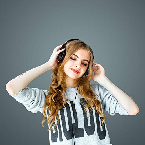 LORELEI X6 Over-Ear Headphones with Microphone, Lightweight Foldable and Portable Stereo Bass Headphones with 1.45 m Tangle-Free, Wired Headphones for Smartphone Tablet MP3/4 (Space Black) — view 6