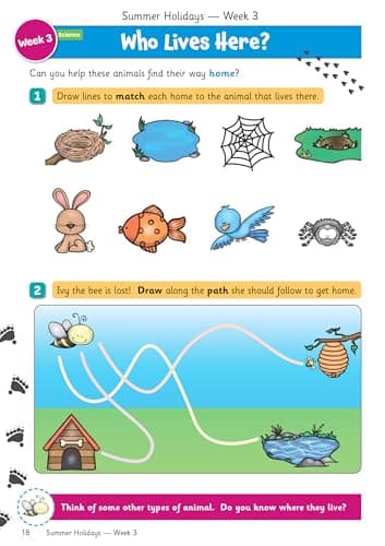 CGP Summer Holidays Activity Workbook - for kids between Reception and Year 1 (ages 4-5) (CGP Holiday Workbooks) — view 5