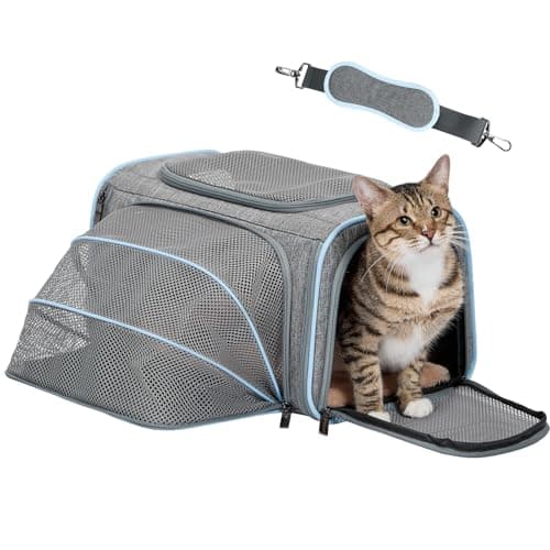 Petsfit Small Cat Carrier Airline Approved ,Expandable Carrier for Kitten Puppy Bunny,41L x 23W x 25H centimetres