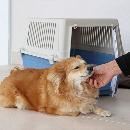 Ferplast Dog Carrier, Secure, Practical, Easy to Clean, Durable Medium Dog Travel Box Cage up to 15 Kg. 60 x 40 x h.38 cm. Black — view 2