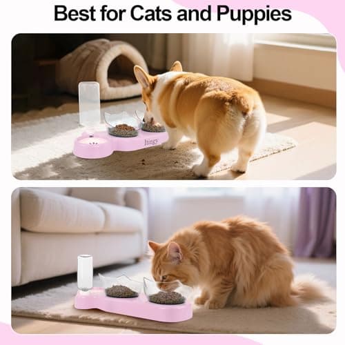 Itingy 15° Tilted 3-In-1 Cat Food Bowl Set with Removable Water Bottle — view 5