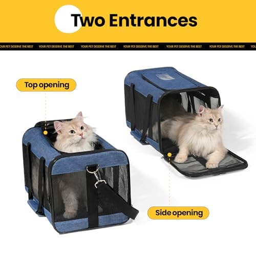 Conlun Cat Carrier Airline Approved, Soft-Sided Dog Carrier with Inner Safety Leash, Pet Transport Carrier for Small-Medium Cats Puppies up to 7KG, Collapsible Travel Kitten Carrier Bag,Blue(M) — view 4