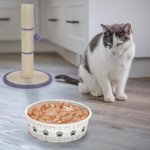 SOUJOY 40pcs Pets Disposable Feeding Bowls, 16 oz Cat & Dog Food Bowl, Cute Foot Print Design Travel Bowl for Small Dog, Puppy, Cat - Dry & Wet Food or Water — view 5