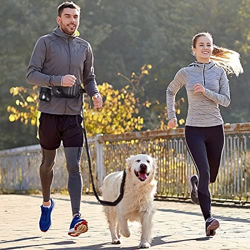 Hands Free Running Dog Lead with Waist Belt & Storage Bag, Shock Absorbing Bungee Lead with Double Handle, Waist Leash with Water Bottle Holder for Jogging Hiking Training — view 2