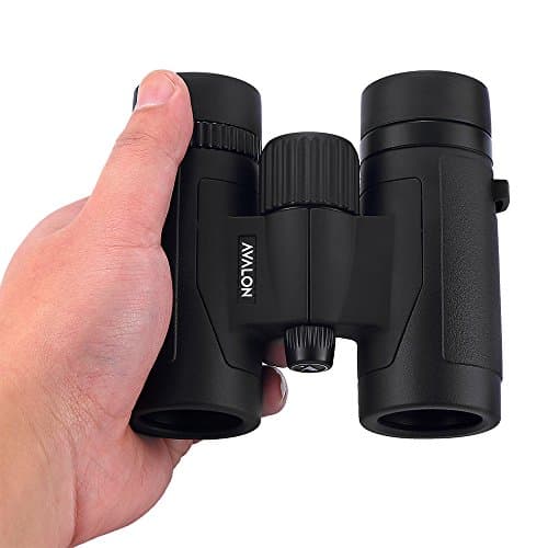 Avalon 8x32 MINI HD Binoculars (BLACK) — view 2