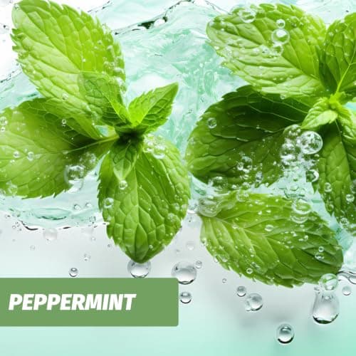 Mint Flavoured Air Inhaler with 3pcs Mint-Flavoured Filters — view 4