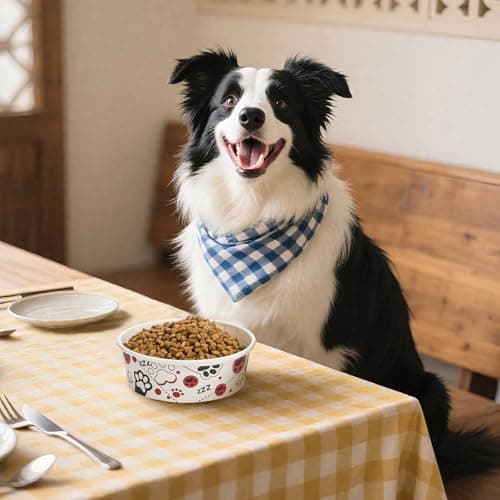 SOUJOY 60 Pcs Disposable Cat Bowls, 16 oz Pet Feeding Bowl, Foot Print Travel Dog Food Bowl for Small Dog Puppy Cat Dry and Wet Pet Food or Water — view 6