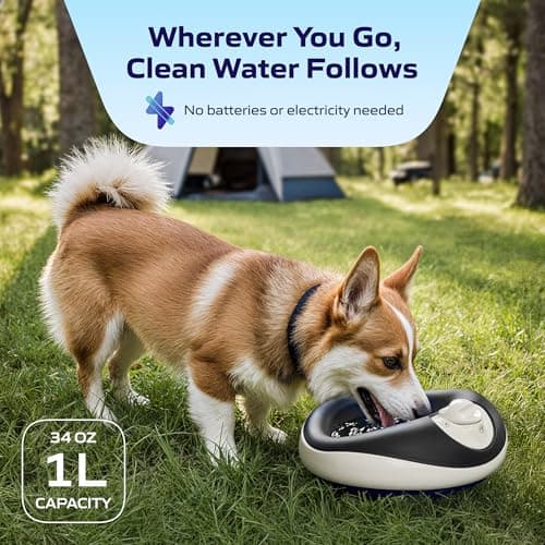 Torus Pet MINI Filtered Water Bowl (Charcoal) - 1 Liter – Home and Travel Bowl - Autofill - Portable - Antimicrobial - BPA Free - Cat - Small Dog — view 4