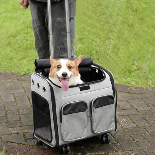 Backpack Trolley with 5 Swivel Wheels, Large Base Folding Luggage Cart — view 4