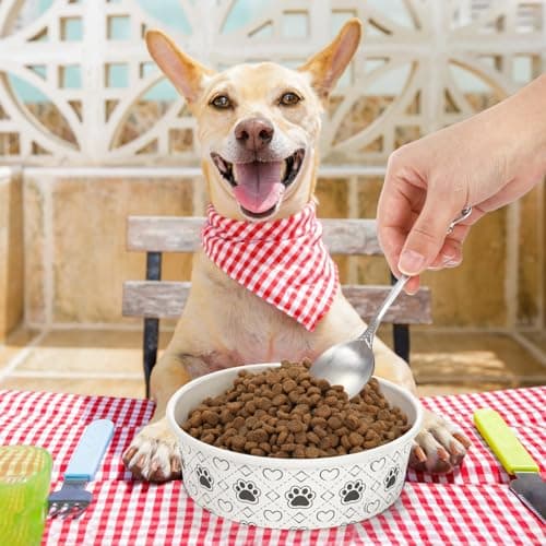 SOUJOY 40pcs Pets Disposable Feeding Bowls, 16 oz Cat & Dog Food Bowl, Cute Foot Print Design Travel Bowl for Small Dog, Puppy, Cat - Dry & Wet Food or Water — view 6