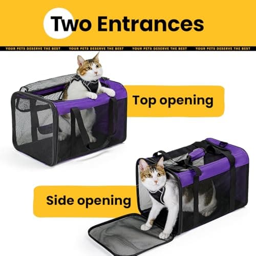 Conlun Cat Carrier Bag,Soft-Sided Pet Carriers for Dogs with 4-Sided Mesh,Airline Approved Cat Transport Carrier for Small&Medium Cats Kitten Puppy Up to 6Kg,Collapsible Cat Travel Carrier-M,Purple — view 3