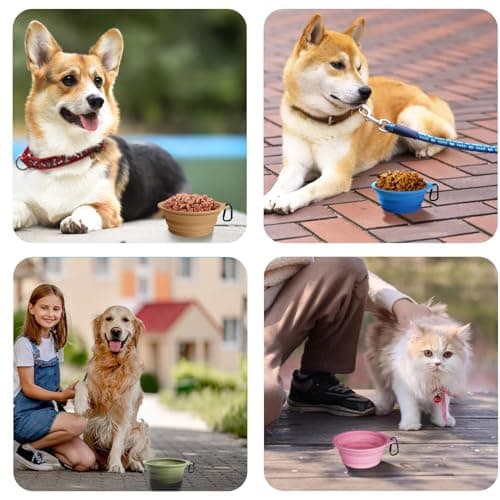 PetBonus 2-Pack Collapsible Dog Bowls, Portable Travel Dog Water Food Bowls — view 6