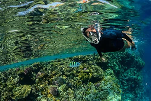 OCEAN REEF - Aria QR+ Maschera Snorkeling Integrale a Rilascio Rapido con Boccaglio - Visione Subacquea a 180 Gradi e Meccanismo Quick Release (M/L, White) — view 4