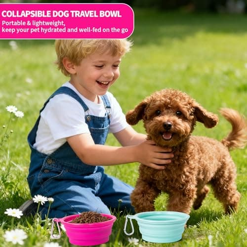SLSON Collapsible Dog Bowl, 2 Pack Macaron Color Foldable Travel Dog Feeder Bowl Portable Silicone Pet Food Water Dish for Dogs Cats Camping Hiking (Macaron Bright Pink and Bright Green) — view 4