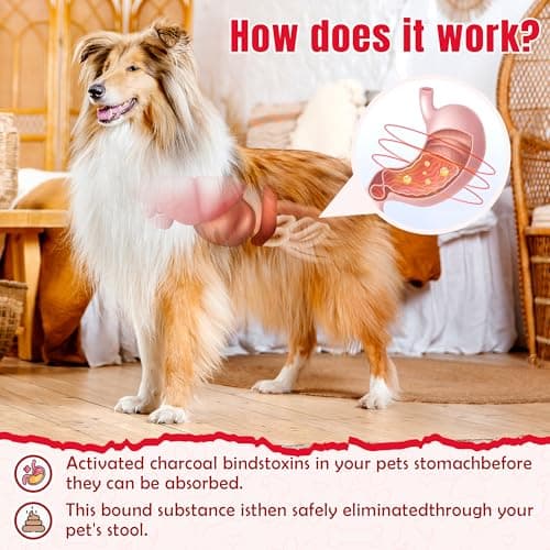 Activated Charcoal Paste for Dogs & Cats 60 cc, Pets First Aid Formula, Pets Charcoal Emergency for Poisoning, Indigestion & Diarrhea, Ready Absorb Toxins, Camping Survival Remedy — view 4