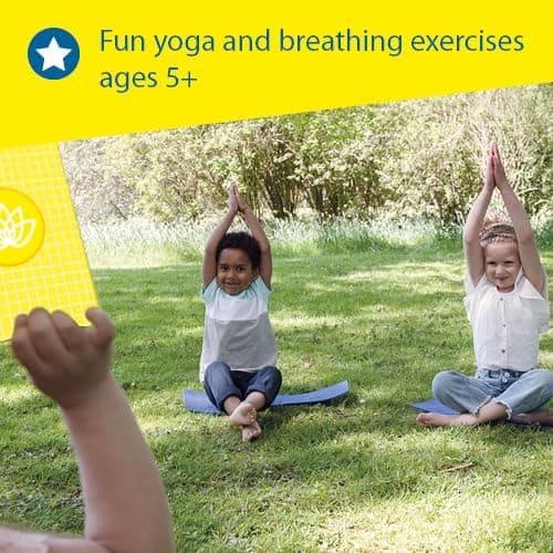 SES Creative Animal Yoga Outdoor Game, Yoga With a Fun Twist Using Animal Poses, 2 Yoga Mats, Spinner Board, 27 yoga cards, Boys and Girls Ages 3 and Up, Game for Active Play — view 4
