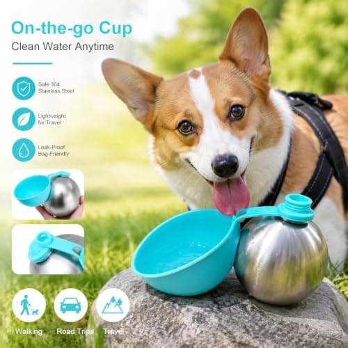 2‑in‑1 Portable Dog Water Bottle, Foldable Pet Water Bottle for Travel, Stainless Steel Bottle with Collapsible Silicone Bowl, 10oz/285ml Pet Water Dispenser for Walks Hiking Outdoor (Blue) — view 6