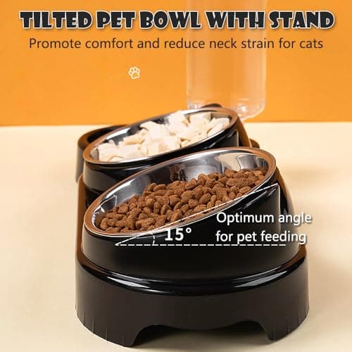 3-in-1 Cat Food and Water Bowl Set, Tilted Stainless Steel Bowls with Stand, Double Food Bowls with Water Dispenser, Pet Feeding Station for Cats Small Dogs, Black — view 3