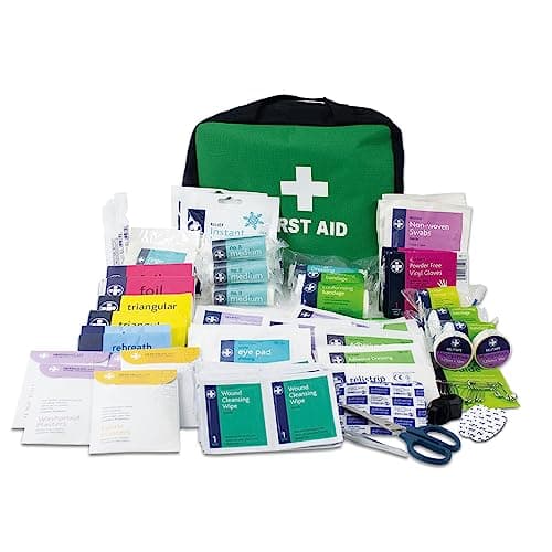 Lewis-Plast First Aid Kit Bag - 309 Piece Survival Kits - Safety Essentials for Travel Car Home Camping Work Hiking,Green