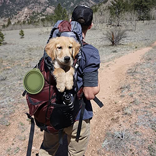 SLSON 2 Pack Dog Collapsible Bowl Large Portable Dog Bowl Pet Feeding Bowl Dog Food Water Bowl Pet Travel Bowl with Carabiner for Pet Indoor and Outdoor Activity (Navy + Dark Green) — view 6