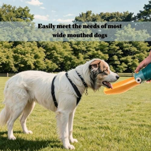AXYOUCUN Leak Proof Pet Water Bottle 180° Foldable Portable Drinker for Cats Dogs Outdoor Travel Water Dispenser for Walking Hiking (300ML) — view 6