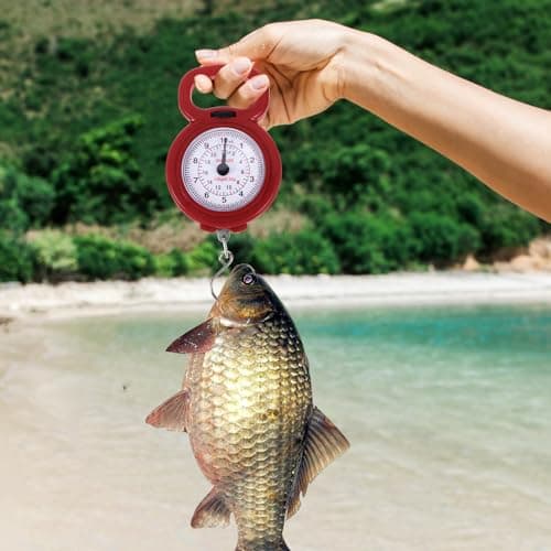 BESTonZON Manual Hanging Scale 10kg 22lbs Portable Handheld Mechanical Spring Balance for Fishing Kitchen Luggage Travel Small Pocket Weight Measurement Tool with Hook Red — view 6