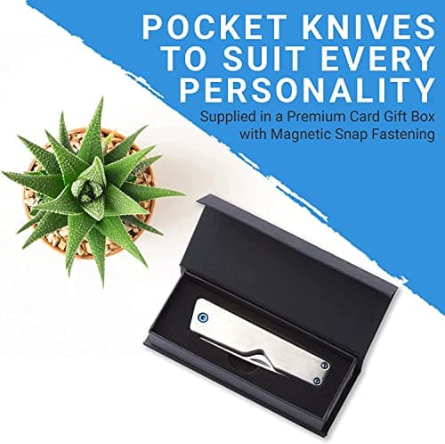 WHITBY Pocket Knife, 2.5" Mint Stainless Steel Folding Knives Titanium Grey — view 6