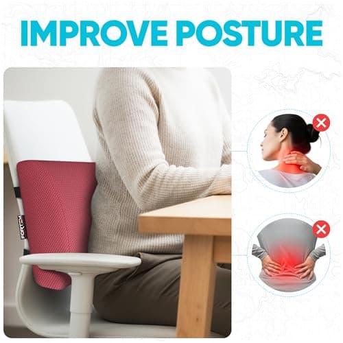 FORTEM Lumbar Support Cushion For Office Chair Back Support Pillow For Car — view 5