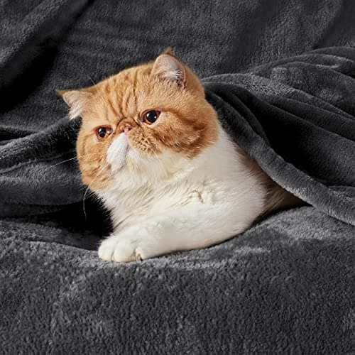 Bedsure Fleece Throw Blanket for Bed - Flannel Throw, Dark Grey, 220x240 cm — view 2