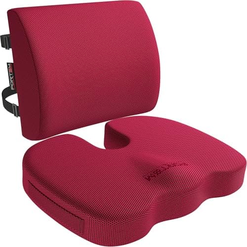 FORTEM Seat Cushion & Lumbar Support for Office Chair, Car Seat Cushions