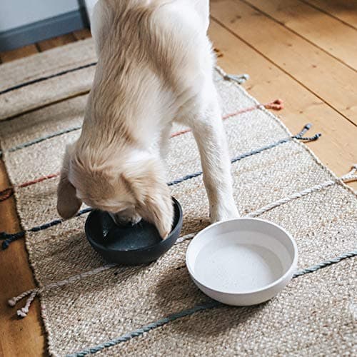 District 70 Bamboo Dog Bowl, Small, Merengue — view 2