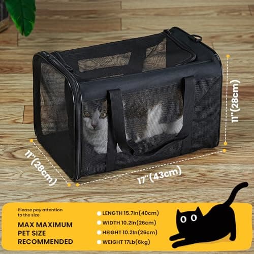 Conlun Cat Carrier Bag,Soft-Sided Pet Carriers for Dogs with 4-Sided Mesh,Airline Approved Cat Transport Carrier for Small&Medium Cats Kitten Puppy Up to 6Kg,Collapsible Cat Travel Carrier-M,Black — view 3