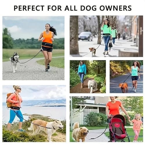 Hands Free Dog Lead Walking Belt,Heavy Duty Dog Running with Waist Belt,Adjustable Bungee,Waist Bag Reflective Stitches for Jogging — view 2