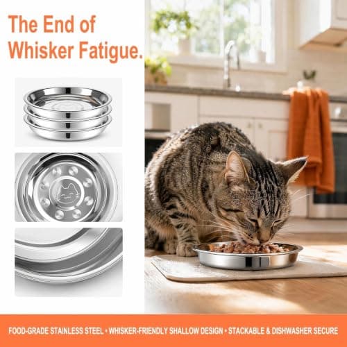 6 Pcs Stainless Steel Cat Bowls,16cm Whisker Fatigue Relief Shallow Cat Food Bowl and Water Bowl, Metal Dishes for Kitten, Puppy, Small Dog, Rabbit, Hamster, Guinea Pig, Stackable Pet Feeding Set — view 3