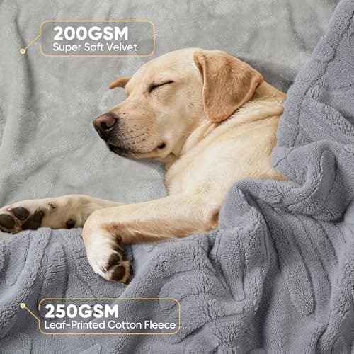 Baodan Waterproof Dog Blanket, 73x100cm Washable Fleece Pet Blanket for Dogs, Fluffy Puppy Blanket Warm and Soft Pet Throw for Bed Couch and Sofa, Grey — view 2
